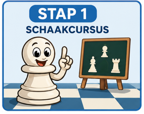 Schaken Stap 1